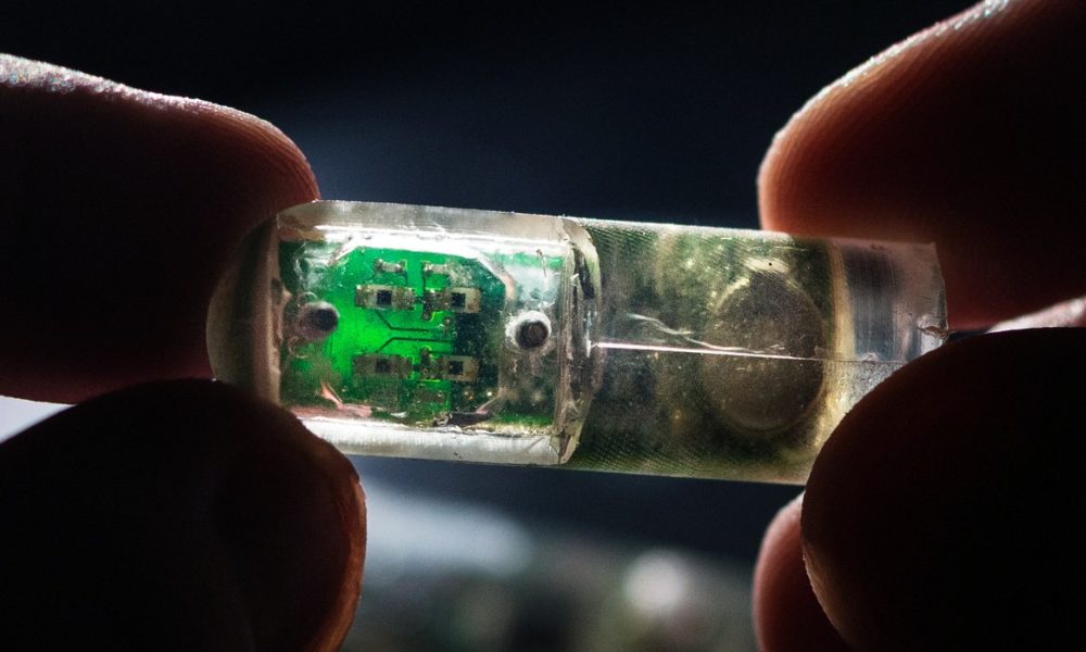 What You Need to Know About Electronic Pills You Can Swallow for Live GI Monitoring